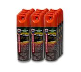 Forest Blend Aerosol Repellent 20% Icaridin and Cedar Oil [142G] (12 PACK)