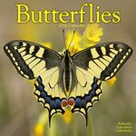 Butterflies Calendar - 2016 Wall calendars - Animal Calendar - Monthly Wall Calendar by Avonside