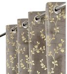FABDRAPE Heavy Velvet Fabric Luxury Looks Room Darkening Floral Designer Curtains 11 Feet for Long Door, Grey, Single Piece