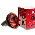 Chicken coop Heating Bulb - Shock Resistant - 250 W