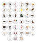 EDULEARNABLE 39 Pieces Magnetic Objects in Box - 39 Realistic Magnetic Toys for Child 3 Years Old - Educational Refrigerator Magnetic Toys - Learn ABC Objects–Educational Fridge Magnets for Toddlers