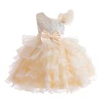 Miipat Girls Pageant Party Dress Ruffle Flower Kids Wedding Ball Gown Sequin Formal Princess Dress(Champagne,8-9Years)