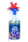 WATER CLINIC Car Shampoo in Gift pack/Motor Bikes, Scooters/Proffessional AUTO Care Foam Wash/For Shines And Clean/Spot Free Smooth Surface/Long Lasting Frangance/Spray Bottle(1Ltr)