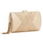 ZOUIQSS Women Clutch Bag Evening bag Fringed Evening Handbag,Lady Party Wedding Clutch Purse Chain Shoulder Cross Body Bag(Champagne)