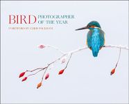 Bird Photographer of the Year: Collection 2