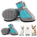 Hcpet Dog Shoes for Small Dogs Boot