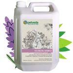 PETVEDA Ayurvedic Lavender Conditioning & Volumizing Professional Pet Salon Suphate Free Shampoo (5 Litre) for Dogs & Cats (5000ml)