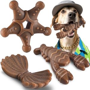 Dog Toys f