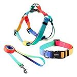 QQPETS Dog Harness Collar Leash - N