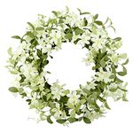 WreathDream 18'' Winter Spring Wreath for Front Door with Green Eucalyptus Leaves and White Cherry Blossoms for Home Outdoor Farmhouse Porch Wall Decoration, White Gift Box Included