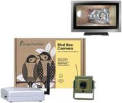 Green Feathers Wildlife Wireless Bi