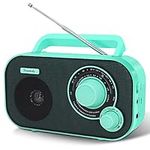 DreamSky Portable AM FM Radio Plug 