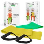 Healthy Seniors Chair Exercise Program with Two Resistance Bands, Handles and Printed Exercise Guide. Ideal for Rehab or Physical Therapy