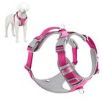 Plutus Pet No Pull Dog Harness, Release at Neck, Reflective Adjustable Dog Vest Harness, Easy Control Handle for Walking, for Small Medium Large Dogs, Hot Pink, M