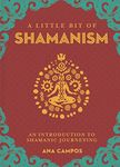 A Little Bit of Shamanism: An Introduction to Shamanic Journeying (Little Bit Series) (Volume 16)