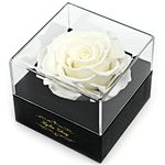 Fresh Cut Flower Preserved Rose for Women Mom Wife Girlfriend - Flower Gift Real Rose Decor for Mother's Day Valentine's Day Wedding Party Celebration Birthday Anniversary (White)