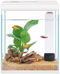 Pronetcus Betta Fish Tank, 2 Gallon Glass Aquarium Starter Kit, Small Fish Tank with Filter and Light.