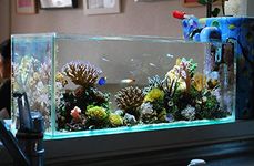 Fish Tank Price