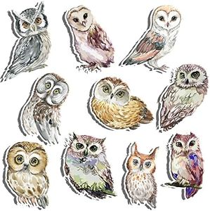 Woodland Owl Cutouts for Birthday, Baby Shower etc. Wildlife Camping Cutouts for Kids | Forest Owls Animals Birthday Party Decorations
