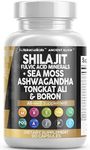 Clean Nutraceuticals Shilajit Suppl