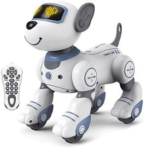 Robot Dog 