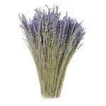 MIHUAGE Dried Lavender Flowers Bundles 100% Natural Real Dry Flower for Home Decorations,Home Fragrance 350+ Stems