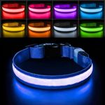 PcEoTllar Light Up Dog Collar, Lighted Dog Collar Rechargeable 7 Colors, LED Dog Collar with Light for Night Walking Waterproof & Adjustable for Small Medium Large Dogs, Blue(7 Modes)-M