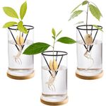 Lawei 3 Pack Avocado Tree Growing Kits, Glass Avocado Seed Starter Vase with Metal Triangle Bracket and Bamboo Base, Avocado Pit Sprouting Plant Pot Glass Bottle for Gardening Lovers Home Decor