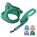 BELLA & PAL Puppy Harness with Leas
