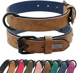 Didog Soft Padded Leather Dog Colla