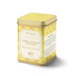Gopaldhara Darjeeling Tea Spring Regalia Silver Tips Oolong First Flush Tea 2024 50 grams Tin Can - (Classic Series) FTGFOP1 Darjeeling First Flush Oolong Tea