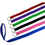 Downtown Pet Supply 6 Foot Slip Lead, Slip Leads, Kennel Leads with O Ring for Dog Pet Animal Control Grooming, Shelter, Rescues, Vet, Veterinarian, Doggy Daycare (24 Pack, Colors: Various)