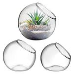 Alipis 3 Pcs Glass Terrarium Plant Holder, Slant Cut Planter Pot Clear Glass Vase Succulent Holder Tebletop Decor Decorative Container Bowl for Plants, Candy, Fruits (8+10+12cm)