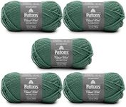 Patons Classic Wool Rich Grass Yarn