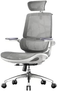 SIHOO M59AS Ergonomic Office Chair, Desk Chair with 3D Flip-up Armrests, Computer Chair with Dual Back Design and Adaptive Dynamic Lumbar Support