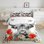 Highland Cow Comforter Set Queen, Red Poppy Floral Bedding Set for Teens Boys Girls Adult, Hummingbird Western Funny Animals Quilt Set Cattle Bull Cattle Wild Animals Farmhouse Down Comforter