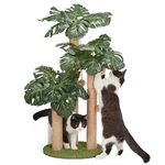 31.5Inch Cat Scratching Post,Cat Scratcher Tree with 3 Scratching Poles & 2 Interactive Dangling Balls,Cats Scratching Posts for Indoor Kitten & Adult Cats