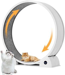 Cat Exercise Wheel for Cats Under 50 Lbs, 110 CM Large Cat Treadmill Wheel with Lap Counter Display Screen, Indoor Use