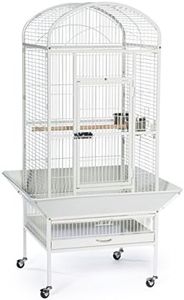 Prevue Pet