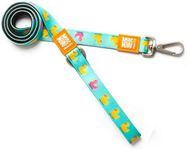 Max & Molly Classic Dog Lead, 4FT N