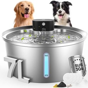 Dog Water 