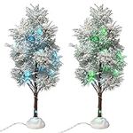 BANBERRY DESIGNS LED Lighted Froste
