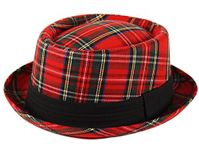 Adult Pork Pie Trilby Fedora Scottish Tartan Check Hat Band Unisex Breaking Bad Heisenberg Style Red (57cm)