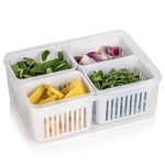 Kepzell Fridge Storage Boxes with lid | fridge storage containers Kitchen Accessories Items cut Vegetable Storage Box for storage Fruits, spices, Vegetables, Meat, Fish (4 Rectangular)