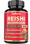 6 in 1 High-concentrated Reishi Mus