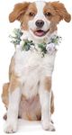 Honoson Dog Wedding Flower Collar Dog Fall Wedding Attire Wreath Bow, for Halloween Autumn Weddings Flower Ring Pets Cats and Dog, Pet Photo Prop(Medium)