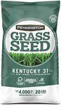 Pennington Kentucky 31 Tall Fescue 