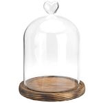 MyGift Clear Glass Cloche Bell Jar Display Case with Heart Top Handle & Dark Brown Wooden Base