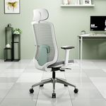 Green Soul Cosmos Pro Premium Office Chair | High Back | Mesh Ergonomic Home Office Desk Chair (Sage Green) | Installation Provided