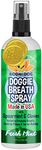 Bodhi Dog Large Natural Dog Breath Freshener for Dogs Teeth and Healthy Gums | Best for Tartar Cleaning, Plaque Remover & Fresh Dental Oral Care
